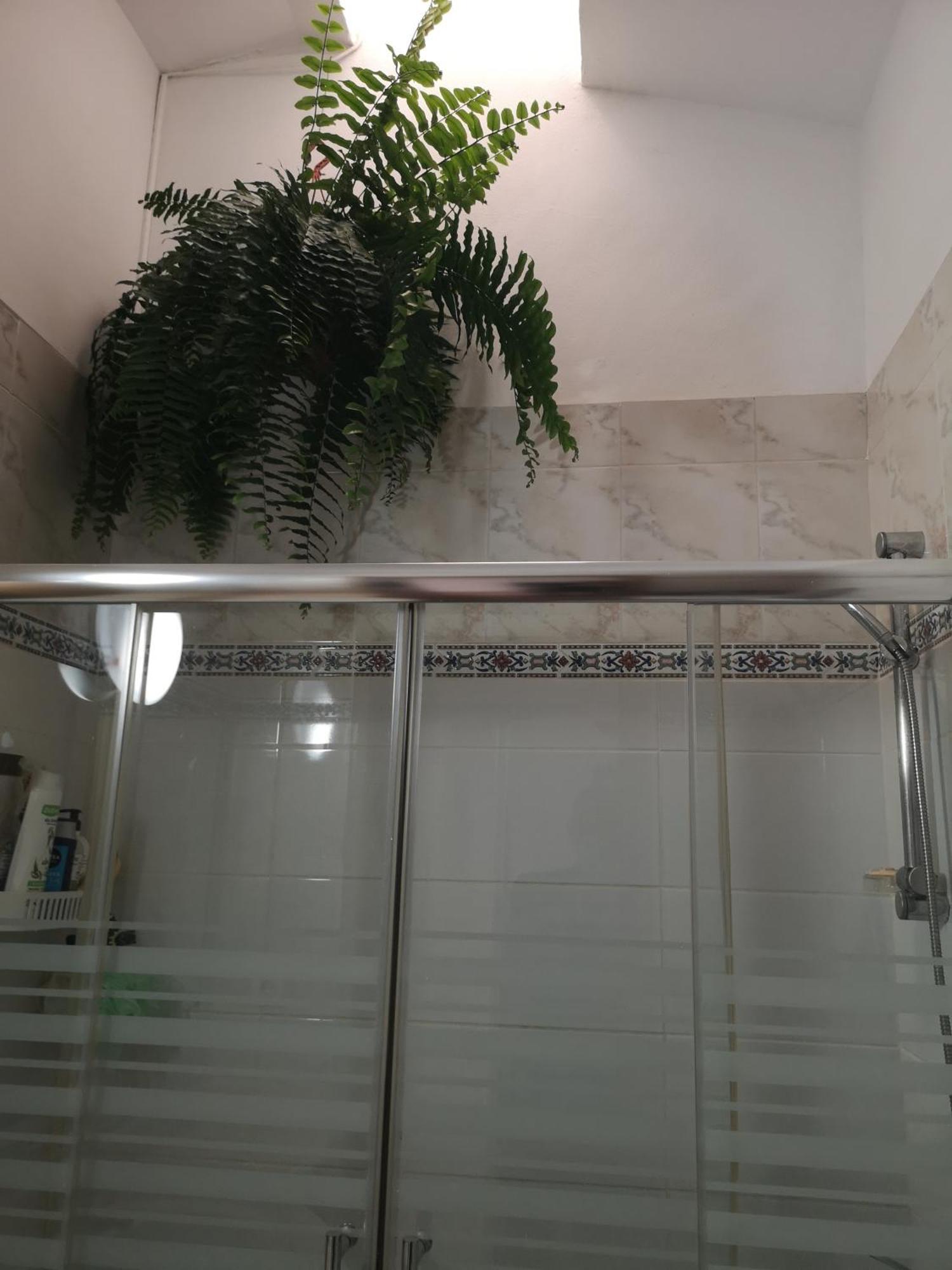 Yumbo Room Maspalomas  Kültér fotó